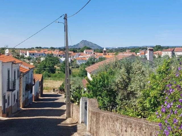 Terreno em Alcafozes, Idanha a Nova com Vista e Árvores de Fruto