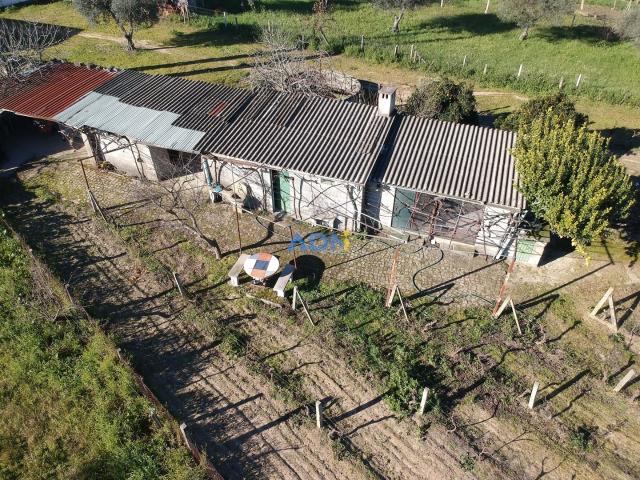 Terreno em Alcains com construções agrícolas