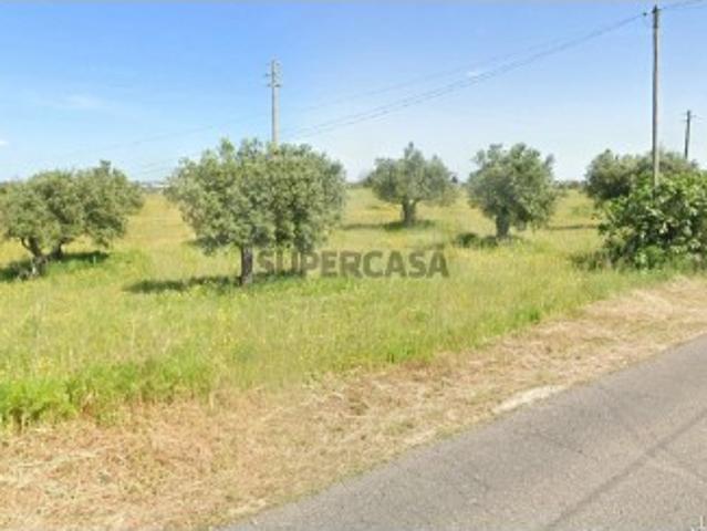 Terreno em Alcanena e Vila Moreira