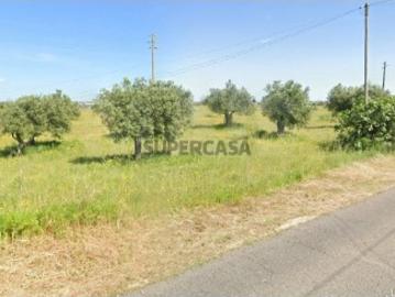 Terreno em Alcanena e Vila Moreira