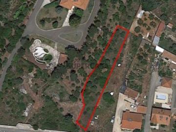 Terreno em Alcanena e Vila Moreira