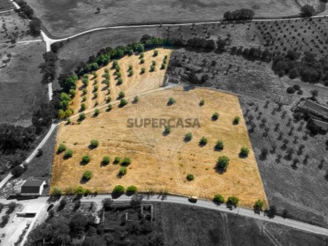 Terreno em Alcanede