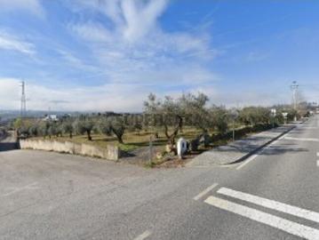 Terreno em Alcaria
