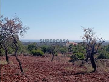 Terreno em Alcaria Cova Estoi com 31.280m2 e ruína com 228m2
