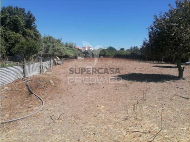 Terreno em Alagoa