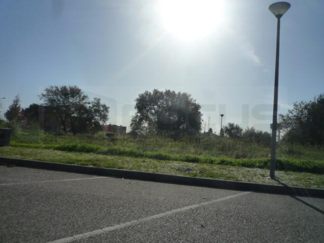 Terreno em Albergaria a Velha