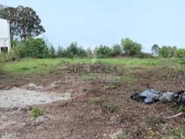 Terreno em Albergaria a Velha e Valmaior