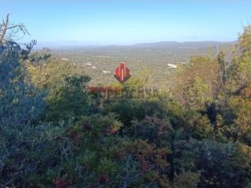 Terreno em Albufeira e Olhos de Água