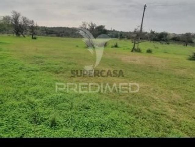 Terreno em Albufeira e Olhos de Água