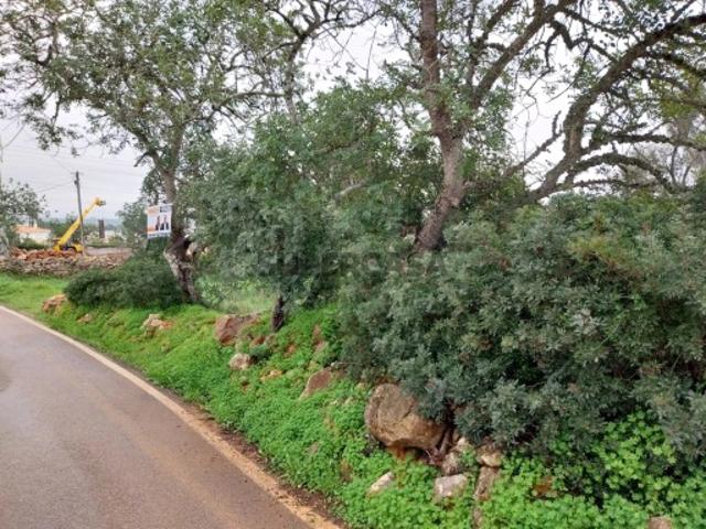 Terreno em Albufeira e Olhos de Água