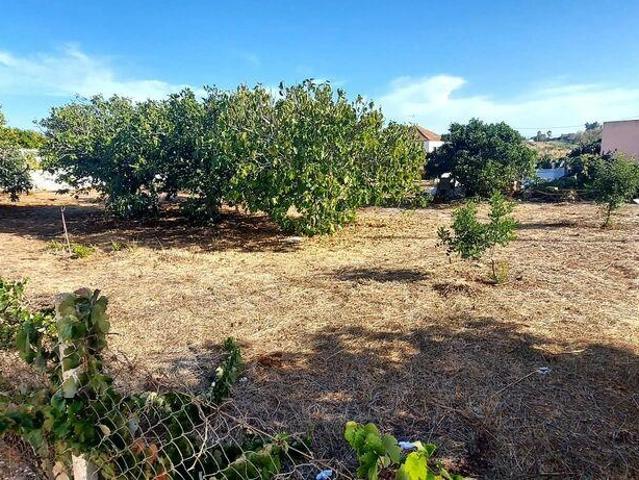 Terreno em Algoz e Tunes
