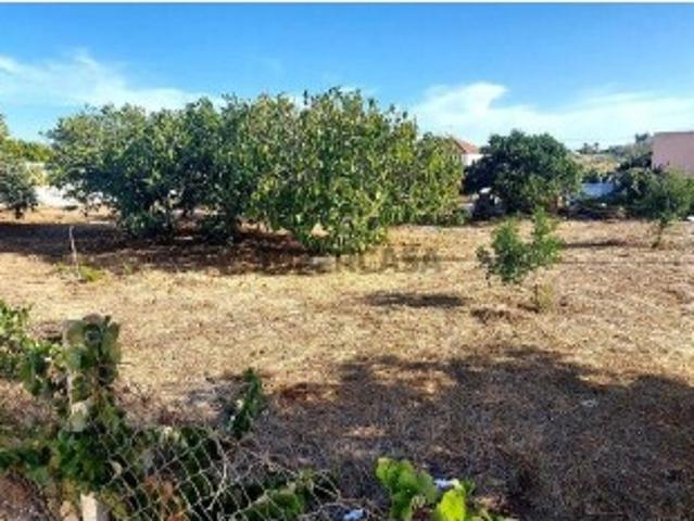 Terreno em Algoz e Tunes