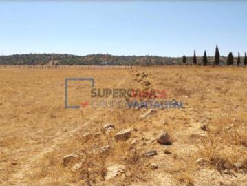 Várzeas do Poço da Figueira, Algoz e Tunes, Concelho de Silves, Distrito de Faro, Algarve