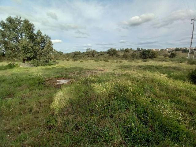 Terreno em Aldeia de Santa Margarida, Idanha a Nova