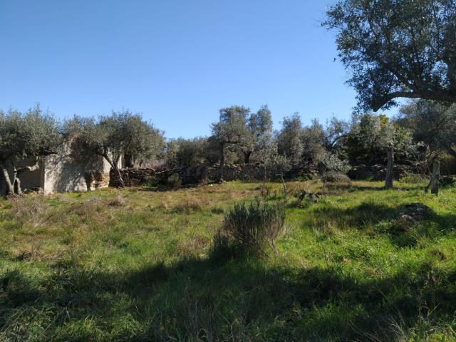 Terreno em aldeia deserta
