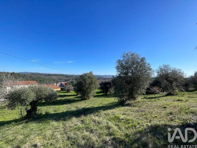 Terreno em Além da Ribeira e Pedreira