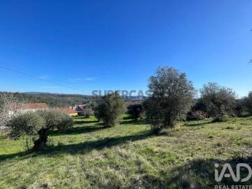 Terreno em Além da Ribeira e Pedreira