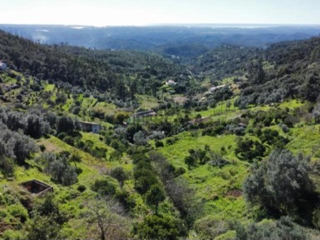 Terreno em Alferce