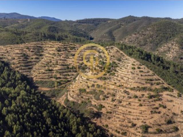Terreno em Alferce