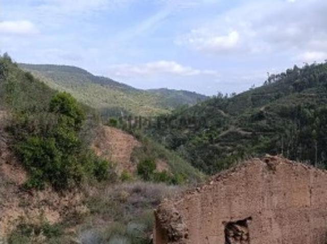 Terreno em Alferce