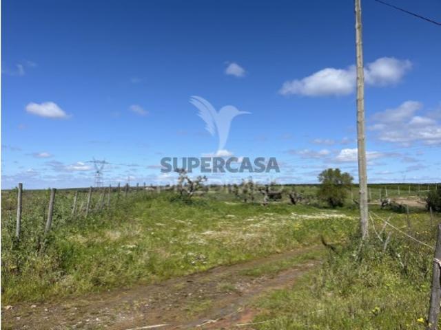 Terreno em Alfundão