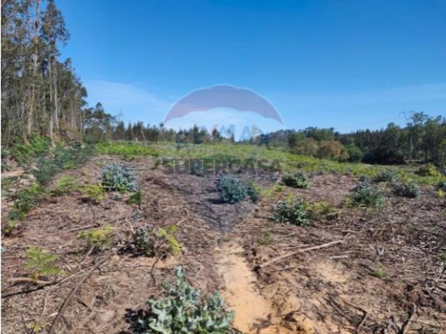 Terreno em Alhadas