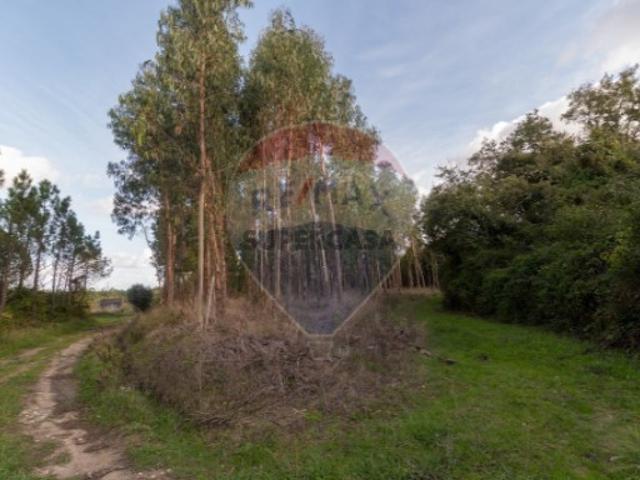 Terreno em Alhadas