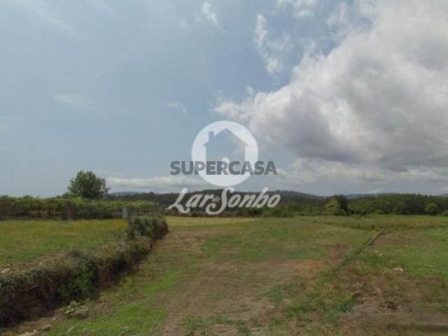 Terreno em Alheira e Igreja Nova