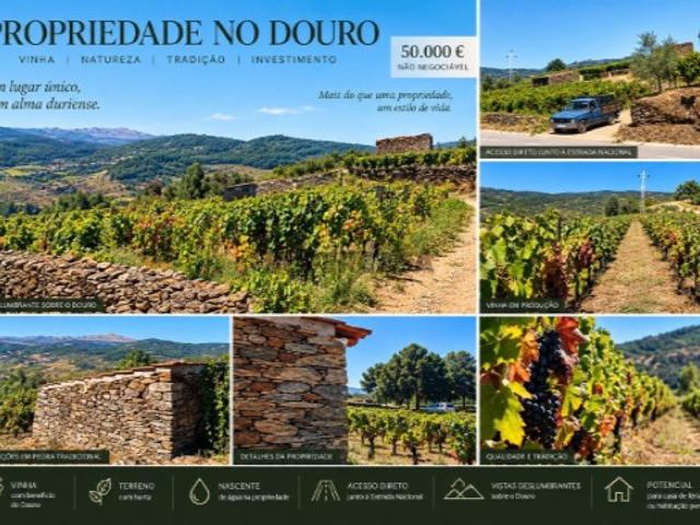 Terreno em Alijó