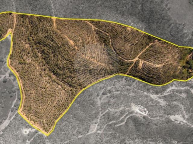 Terreno em Aljezur