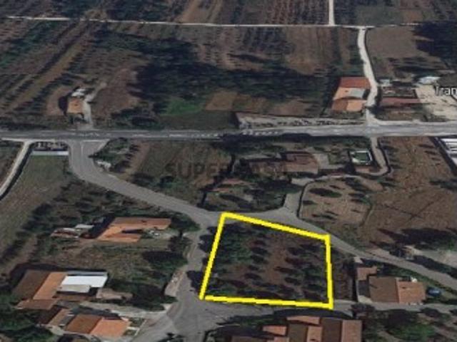 Terreno em Aljubarrota