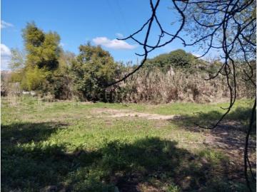 Terreno em Almoster Santarém