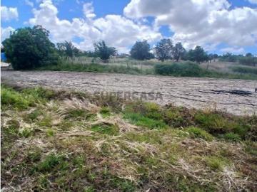 Terreno em Almoster