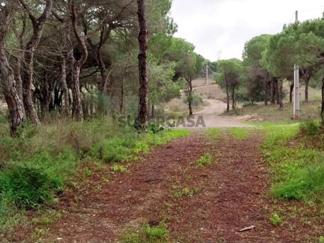 Terreno em Almancil