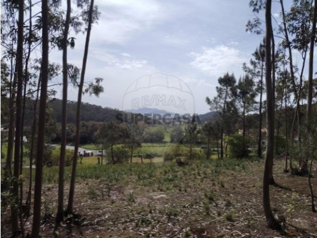 Terreno em Montelavar