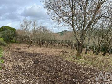 Terreno em Almargem do Bispo, Pêro Pinheiro e Montelavar