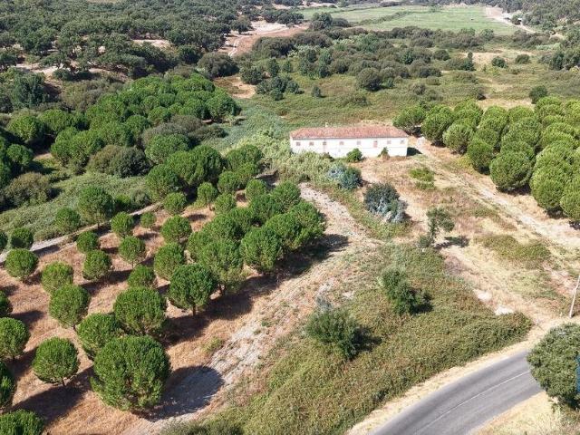 Terreno em Alpiarça de 462520,00 m²