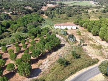 Terreno em Alpiarça de 462520,00 m²