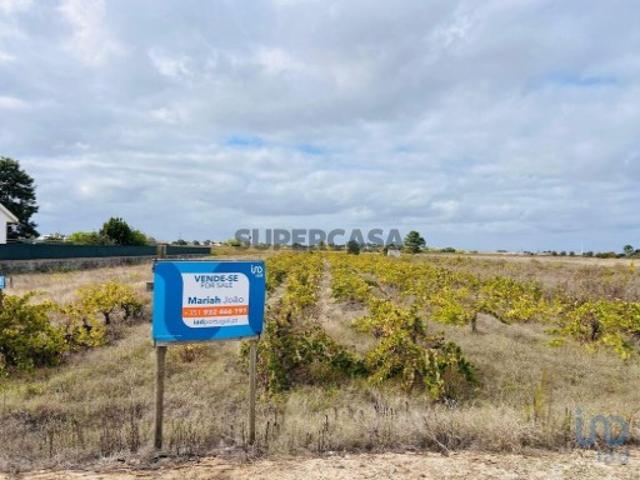 Terreno em Alpiarça de 8080,00 m²