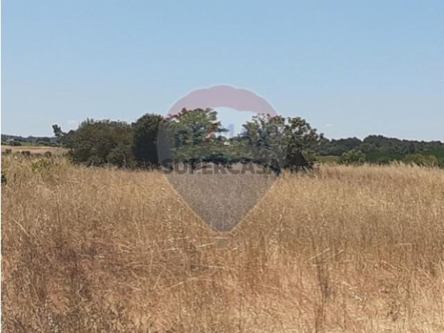 Terreno em Alpiarça