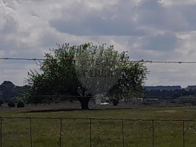 Terreno em Alpiarça