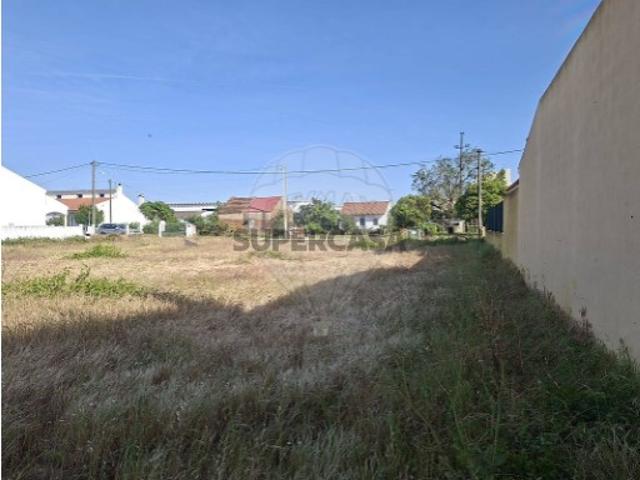 Terreno em Alpiarça