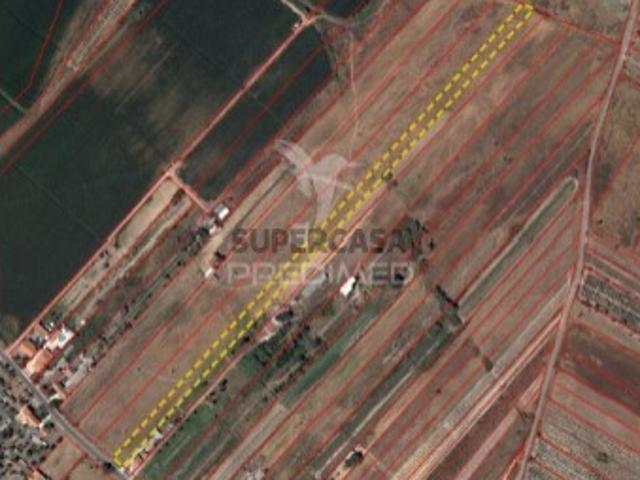 Terreno em Alpiarça
