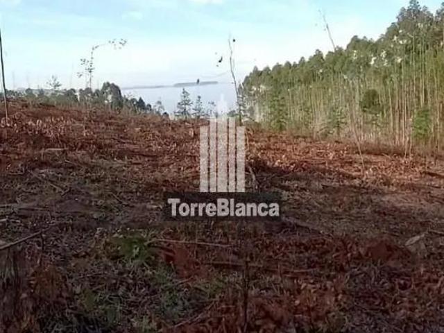 Terreno em Alto Do Amparo, Tibagi/PR de 32000m² à venda por R$ 350.000,00