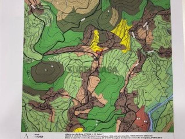 Terreno em Alvora e Loureda