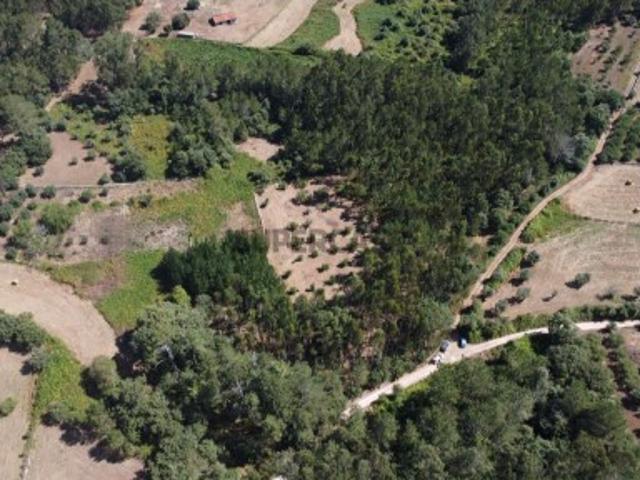 Terreno em Alvados e Alcaria