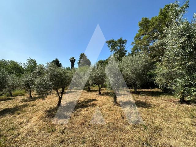 Terreno em Alvaiázere