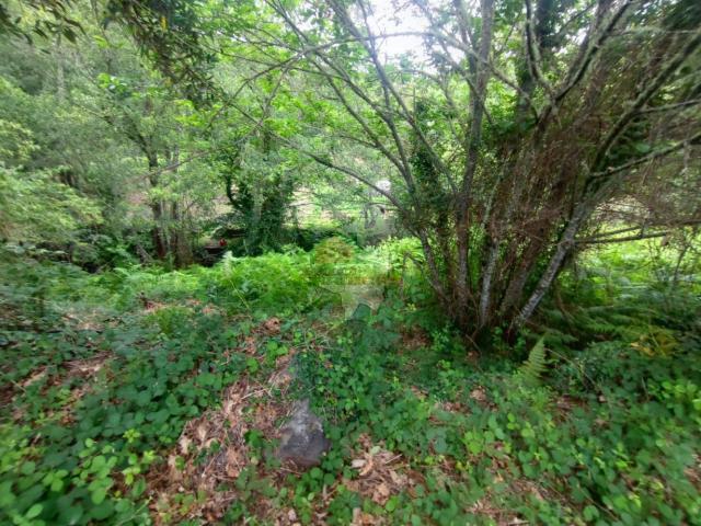 Terreno em Alvares