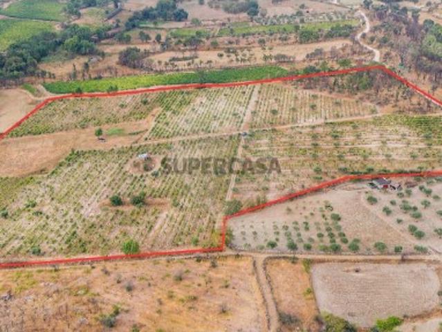 Terreno em Alverca da Beira/Bouça Cova