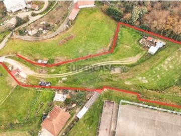 Terreno em Alvite e Passos